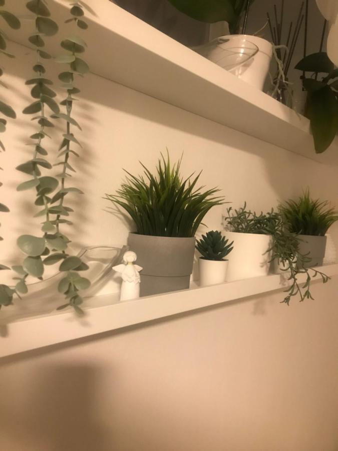 Apartman Vervis Varaždin Buitenkant foto